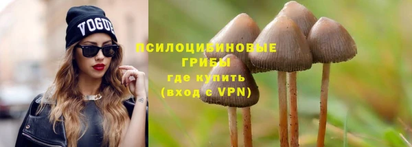 дживик Алагир