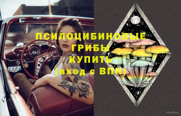 дживик Алагир