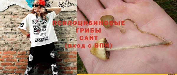 каннабис Алексеевка
