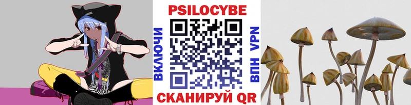 shop телеграм  Бикин  Псилоцибиновые грибы Psilocybine cubensis 